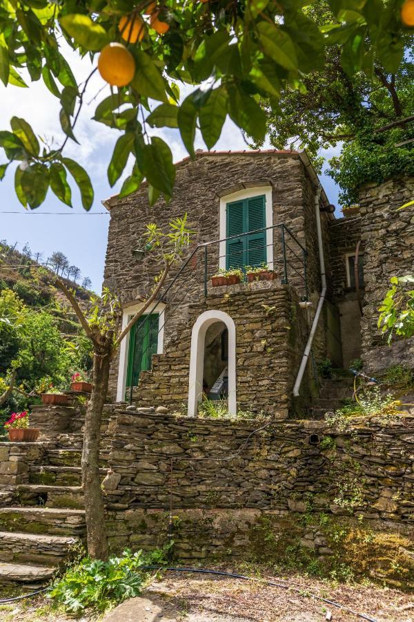 Villa Smith فيرناتْسا المظهر الخارجي الصورة